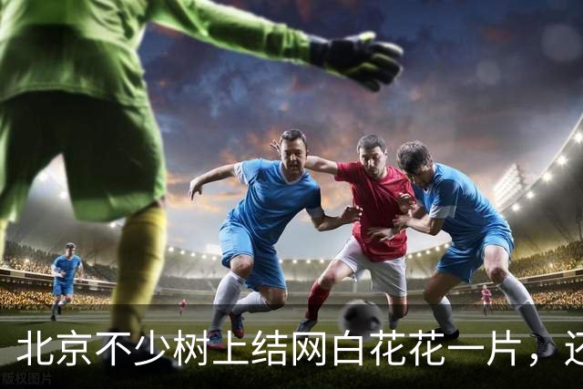 北京不少树上结网白花花一片，还往下掉！今年它的“存在感”怎么这么强？